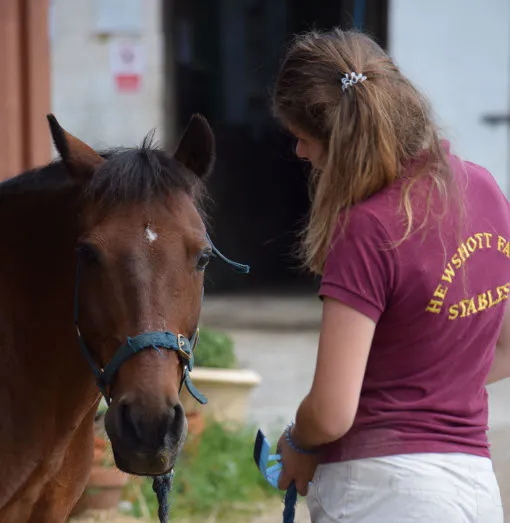 BHS training at Hewshott Farm Stables