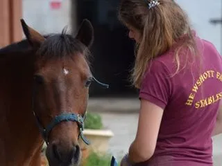 BHS training in East Hampshire at Hewshott Farm Stables