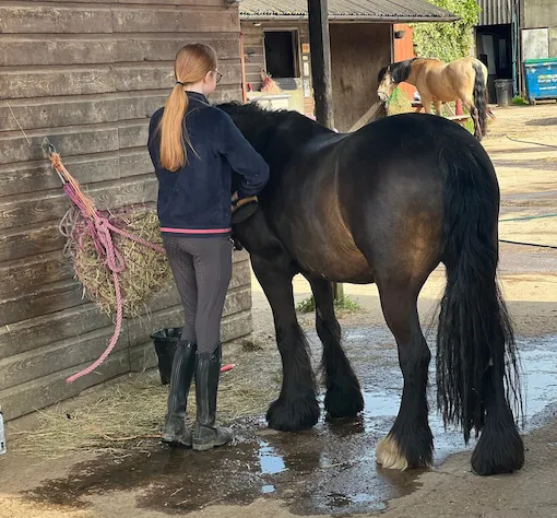 BHS Training at hewshott farm stables
