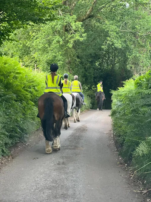 group of riders hacking out in hewshott
