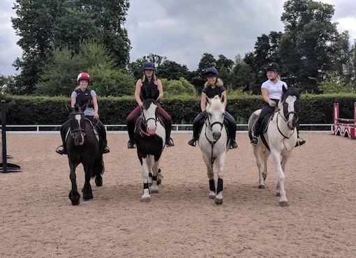 pony club