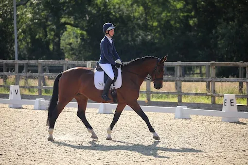 dressage lessons