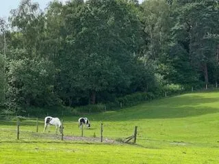 horse livery yard in east hampshire
