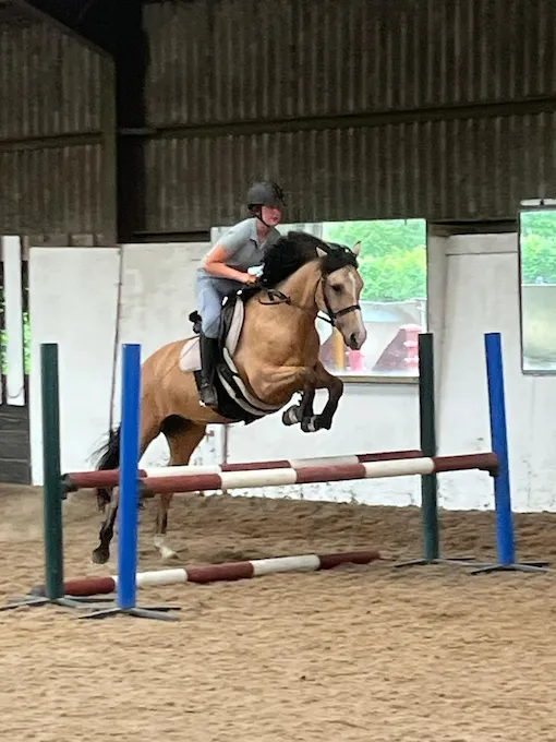 jumping lesson at hewshott