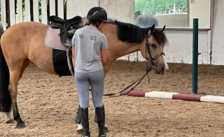 private riding lessons in east hampshire