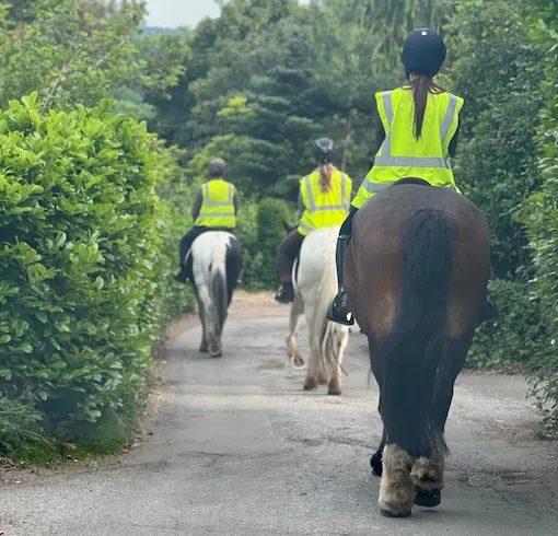 ride safe award training