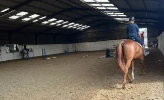 semi private riding lessons in hewshott east hampshire