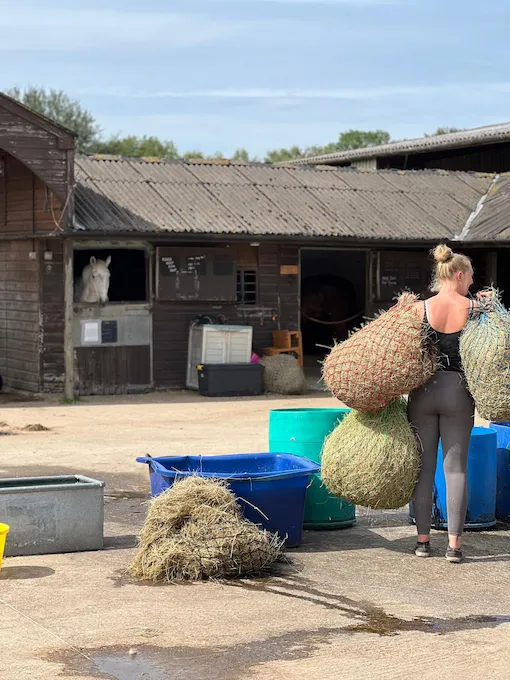 working at Hewshott stables