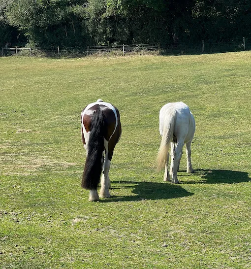 hose turnout fields