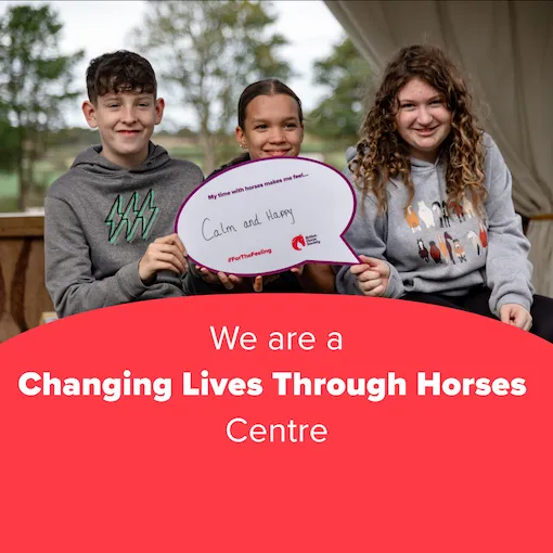 Changing Lives through Horses Centre